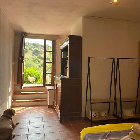 Casa Lughe
